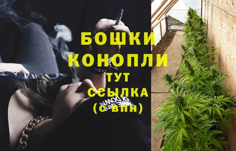 Канабис THC 21%  гидра ссылки  Элиста 